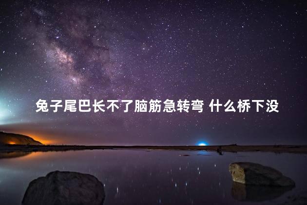 兔子尾巴长不了脑筋急转弯 什么桥下没有水脑筋急转弯